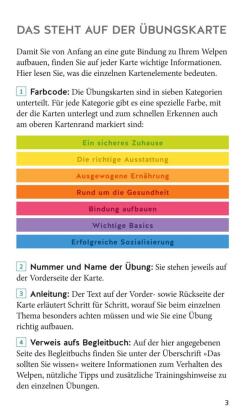Welpen-Starter-Box