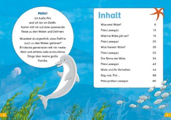 WAS IST WAS Erstes Lesen Band 1. Wale und Delfine