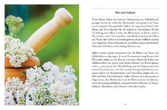 Das große kleine Buch: Heilsalben aus Wald und Wiese