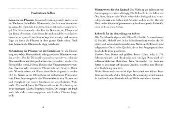 Das große kleine Buch: Heilsalben aus Wald und Wiese