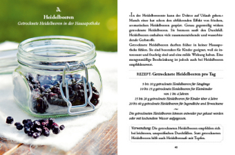 Das große kleine Buch: Vergessene Hausmittel