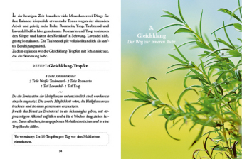 Das große kleine Buch: Vergessene Hausmittel