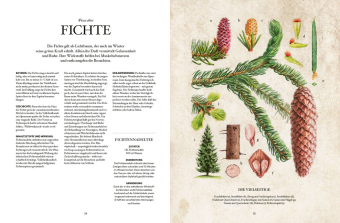 Die Natur-Apotheke