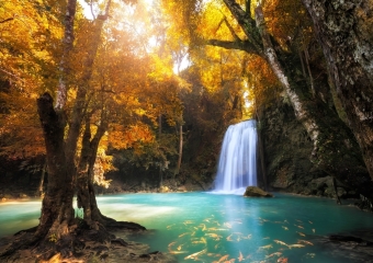 Lais Puzzle Wasserfall 1000 Teile