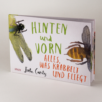 Hinten und vorn - Alles, was krabbelt und fliegt