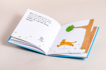 Schaukel das Schaf - Ein Mitmachbuch zum Schütteln, Schaukeln, Pusten, Klopfen und sehen, was dann passiert. Von 2 bis 4 Jahren