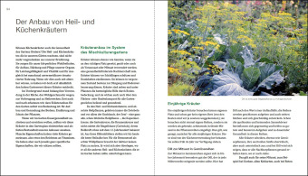 Gesunder Garten durch Mischkultur