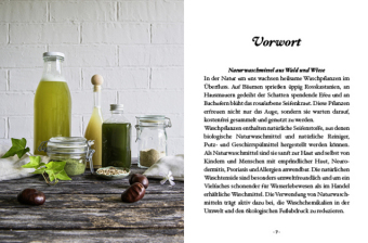 Das große kleine Buch: Naturwaschmittel aus Wald und Wiese