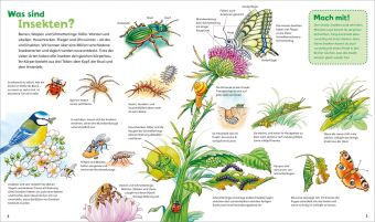 WAS IST WAS Junior Band 33. Insekten