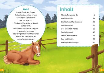 WAS IST WAS Erstes Lesen Band 7. Pferde und Ponys