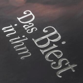 Disney Villains 2: Das Biest in ihm