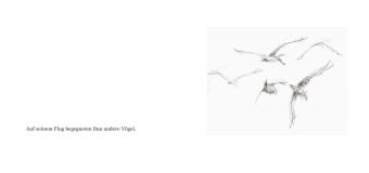 Fliegen lernen