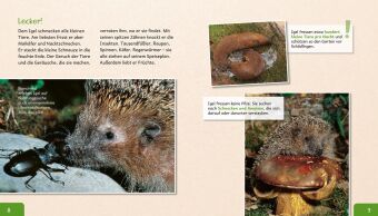 Meine große Tierbibliothek: Der Igel