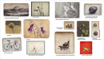 Das Stundenbuch des Jacominus Gainsborough