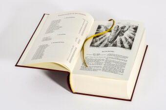 Die Bibel, Lutherübersetzung (illustrierte Geschenkausgabe, Cabra-Leder)