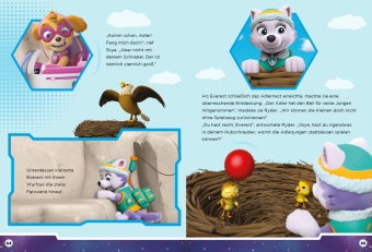 PAW Patrol - Meine schönsten Gutenachtgeschichten