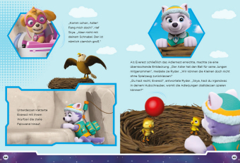 PAW Patrol - Meine schönsten Gutenachtgeschichten