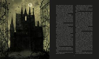 Harry Potter und der Feuerkelch (Schmuckausgabe Harry Potter 4)