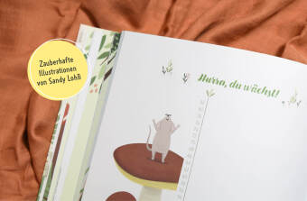 Hallo, kleiner Schatz! - Dein Babyalbum