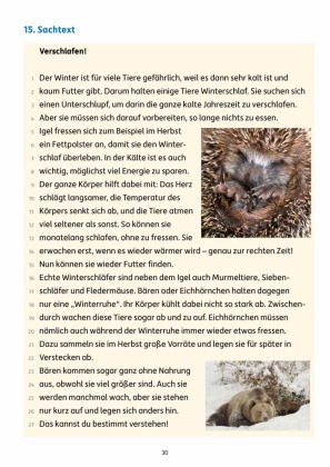 Übungsheft mit Lesetests in Deutsch 2. Klasse