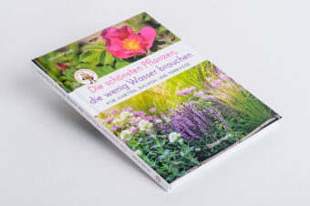 Die schönsten Pflanzen, die wenig Wasser brauchen für Garten, Balkon und Terrasse