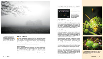 Fotografieren - Die große Fotoschule für Einsteiger