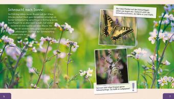 Meine große Tierbibliothek: Der Schmetterling