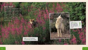 Meine große Tierbibliothek: Der Wolf