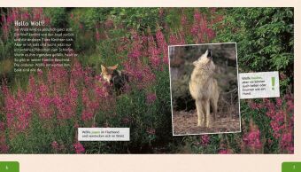 Meine große Tierbibliothek: Der Wolf