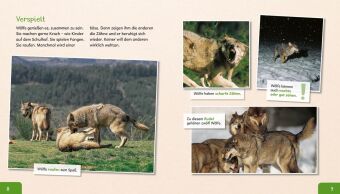 Meine große Tierbibliothek: Der Wolf