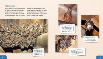 Meine große Tierbibliothek: Die Fledermaus