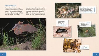 Meine große Tierbibliothek: Die Fledermaus