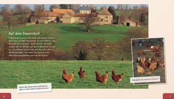 Meine große Tierbibliothek: Das Huhn