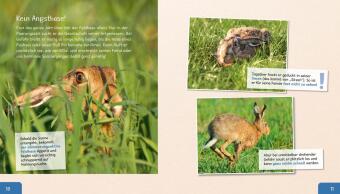 Meine große Tierbibliothek: Der Hase