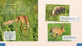 Meine große Tierbibliothek: Der Hase