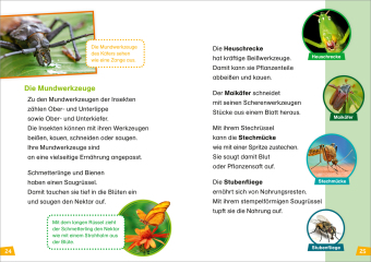 WAS IST WAS Erstes Lesen Band 11. Insekten