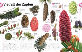 Unsere Welt in 1000 Bildern. Pflanzen