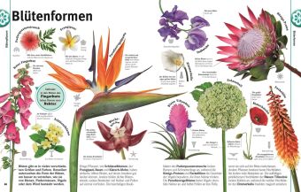 Unsere Welt in 1000 Bildern. Pflanzen