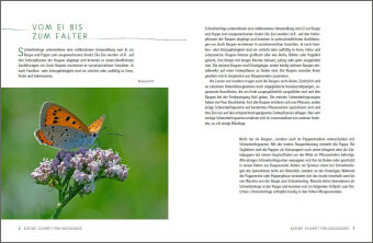 Ein Gartenparadies für Schmetterlinge