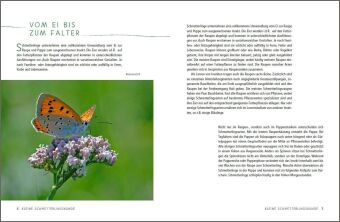 Ein Gartenparadies für Schmetterlinge
