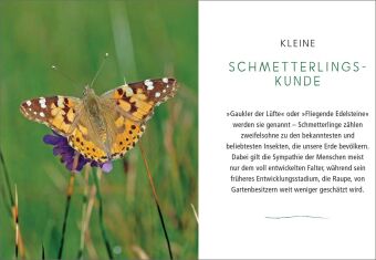 Ein Gartenparadies für Schmetterlinge