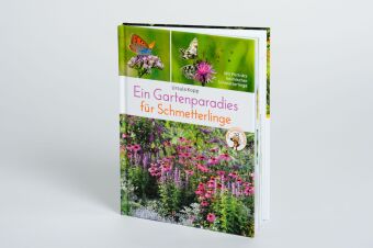 Ein Gartenparadies für Schmetterlinge