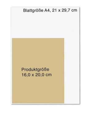 Das HandHeilbuch