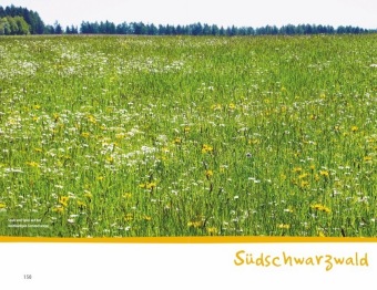 Wanderspaß mit Kindern - Schwarzwald