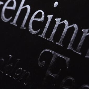 Disney Villains 4: Das Geheimnis der Dunklen Fee