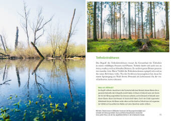 Wunderwelt Totholz