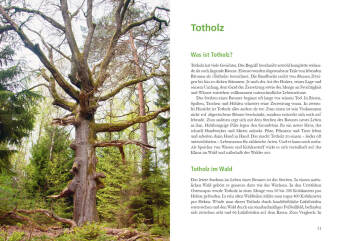 Wunderwelt Totholz