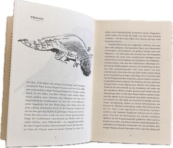 Krokodilopolis