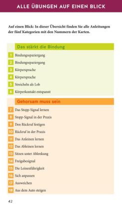 Hunde-Gassi-Box, Übungskarten + Begleitbuch