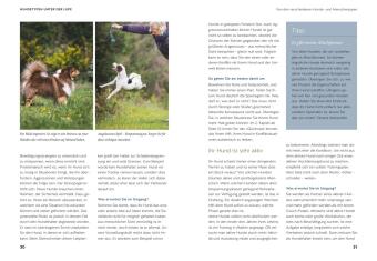 Life-Dog-Balance
